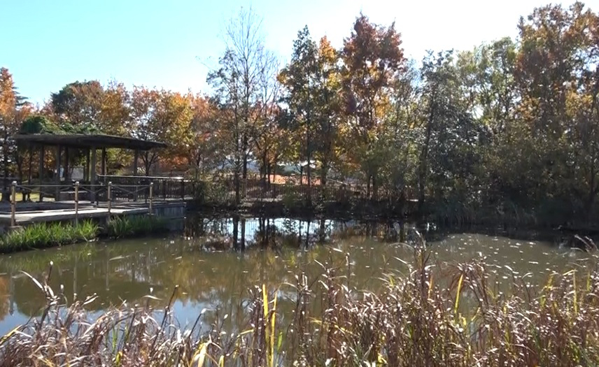 桑袋ビオトープ公園