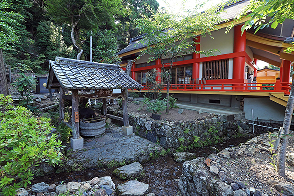 松尾大社亀の井（京都市）