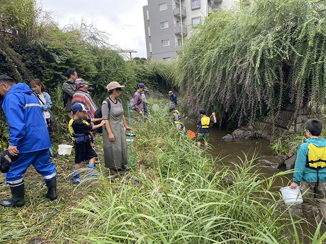 魚獲りの様子
