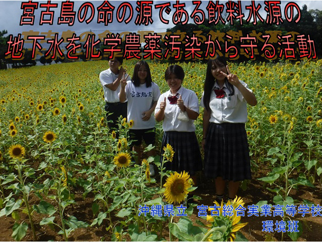 沖縄県立宮古総合実業高校1