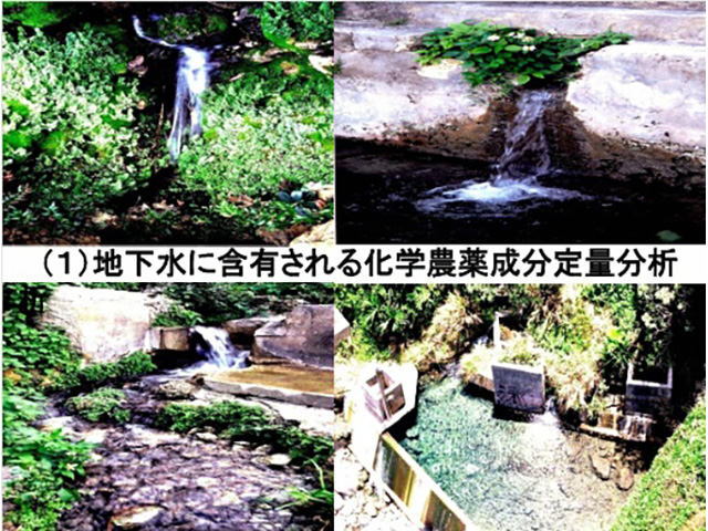 沖縄県立宮古総合実業高校3