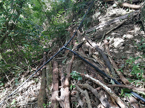 ポリスチレンパイプを分岐させた様子